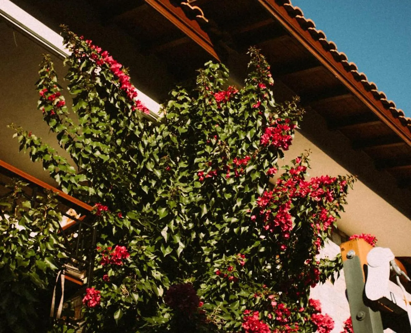 Hotel Vira Apart Suites Göcek
